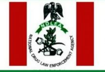 NDLEA recovers 401 military grade ammunition, others in Kaduna