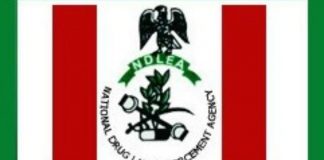 NDLEA recovers 401 military grade ammunition, others in Kaduna