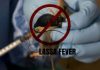 NCDC records rise in Lassa Fever cases as death toll reaches 229