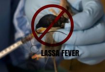 NCDC records rise in Lassa Fever cases as death toll reaches 229
