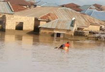 Flood: ADSEMA seeks FG support as houses submerge in Adamawa