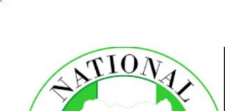 NHRC tackles over 600 cases of human rights violations in 6 months in Borno