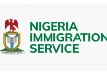NIS warns against unauthorised passport, visa payment platforms