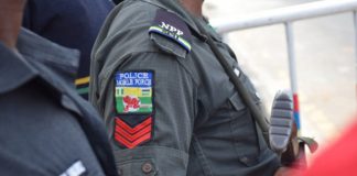 Police rescue 2 kidnap victims in Katsina, foil cattle rustling