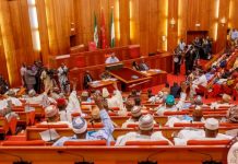 Nigerian Senators monthly salary revealed