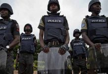Troops apprehend 12 suspected ISWAP logistics suppliers, collaborators in Borno