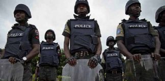 Troops apprehend 12 suspected ISWAP logistics suppliers, collaborators in Borno