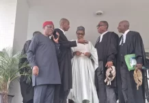 Adebayo opposes deregistration of political parties, backs legal redress