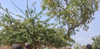 Southern Kaduna journalists seek rescue of Easter abductees