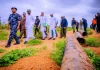 NNPC, security agencies intensify collaboration against pipeline vandalism, arrest suspects