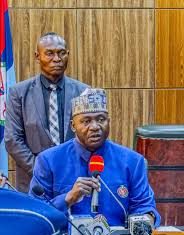 Real security is defeating ignorance, hopelessness – Defence minister