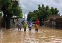 Flood: Jigawa deploys 6 amphibious excavators, desilts 180km of Hadejia River