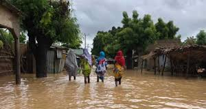 Flood: Jigawa deploys 6 amphibious excavators, desilts 180km of Hadejia River