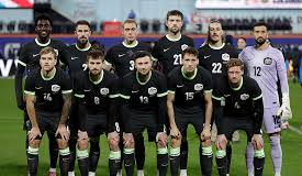 World Cup: Australia stun Turkey 2-0 in Group D clash