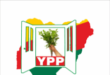 Why terrorism, banditry, insurgency persist in Nigeria – YPP National Chairman