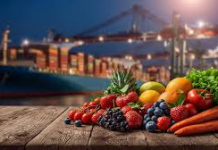 Stakeholders laud FG’s move to tackle food export rejections