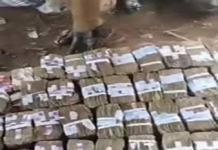 Ransom payment provides short-term relief, strengthens criminal networks – Expert