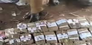 Ransom payment provides short-term relief, strengthens criminal networks – Expert
