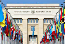 UN pledges durable solutions for displaced persons in Nigeria
