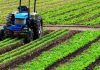 NADF targets higher food production through farmer support programmes