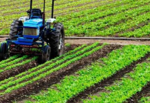 NADF targets higher food production through farmer support programmes