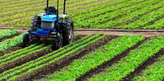 NADF targets higher food production through farmer support programmes