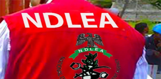 NDLEA destroys 25,807.192kg of illicit drugs in Imo