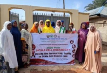 Know your genotype”: Testing key to closing sickle-cell survival gap — Niger stakeholders