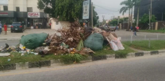 As the Lagos State Government continues to battle heaps of refuse across the city, residents on Thursday decried the indiscriminate dumping of waste along the corridor and median of Admiralty Way, Lekki Phase I.