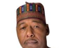 Zulum orders closure of Bama IDP camp, says Gwoza next