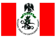 The National Drug Law Enforcement Agency (NDLEA), Kogi Command, has arrested 386 suspects and seized 8,997.020 kilogrammes of illicit drugs across the state in the last 12 months.