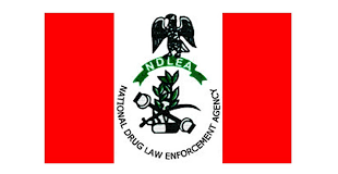 The National Drug Law Enforcement Agency (NDLEA), Kogi Command, has arrested 386 suspects and seized 8,997.020 kilogrammes of illicit drugs across the state in the last 12 months.