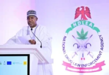 The National Drug Law Enforcement Agency (NDLEA) says it intercepted more than 5.3 million kilogrammes of illicit drugs worth about N1.5 trillion in the last 18 months.