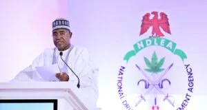 The National Drug Law Enforcement Agency (NDLEA) says it intercepted more than 5.3 million kilogrammes of illicit drugs worth about N1.5 trillion in the last 18 months.