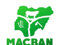 Gov. Alia condemns killing of Benue MACBAN chairman, orders investigation.