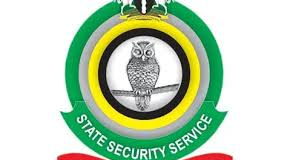 Persistent security challenge erodes legitimate use of force — Ex-DSS director.