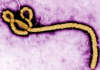 Cross River activates ebola response system, intensifies border surveillance