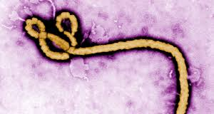 Cross River activates ebola response system, intensifies border surveillance