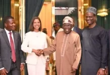 Tinubu seeks stronger Deloitte partnership on youth, investment