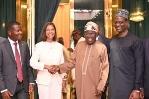 Tinubu seeks stronger Deloitte partnership on youth, investment