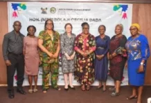 Lagos reinforces commitment to mental health, emotional well-being