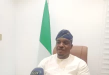 Why we picked woman as my running mate – LP presidential candidate, Okereke