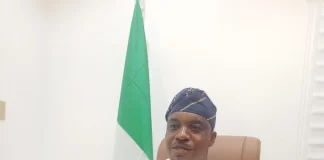 Why we picked woman as my running mate – LP presidential candidate, Okereke