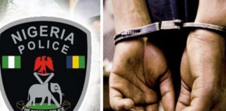 Imo Police smash kidnap syndicate, detain 184 suspected criminals.