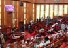 Senate moves to integrate e-health services in Nigeria hospitals.