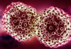 FG expands cancer funding, local drug production.