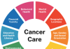 Early cancer diagnosis improves chances of effective treatment, outcome – FG
