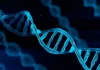 DNA Tests: 3 in 4 paternity tests positive for biological fathers, Smart DNA Reports