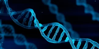 DNA Tests: 3 in 4 paternity tests positive for biological fathers, Smart DNA Reports