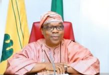 FG reaffirms commitment to prioritising security, Nigeria diaspora